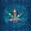 Bundle 2: Potency, Aroma and Safety Essential (Cannabinoids + Terpenes + 1 Contaminant)